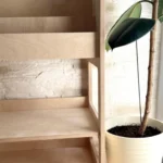 The Dual-Function Montessori Organizer - Book Display & Toy Storage