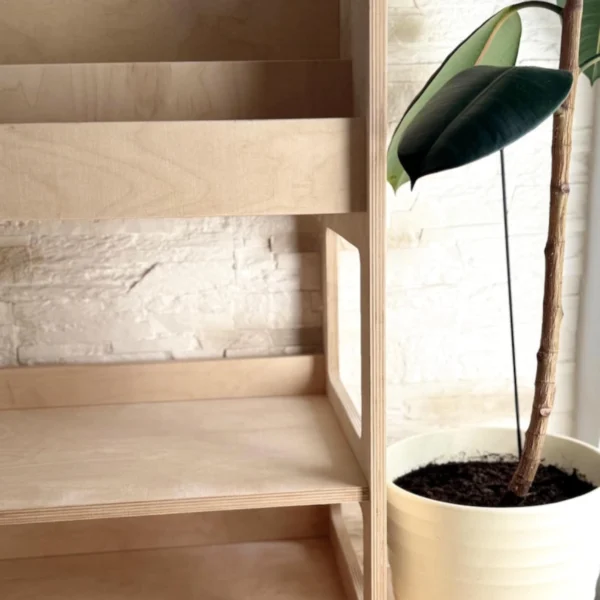 The Dual-Function Montessori Organizer - Book Display & Toy Storage